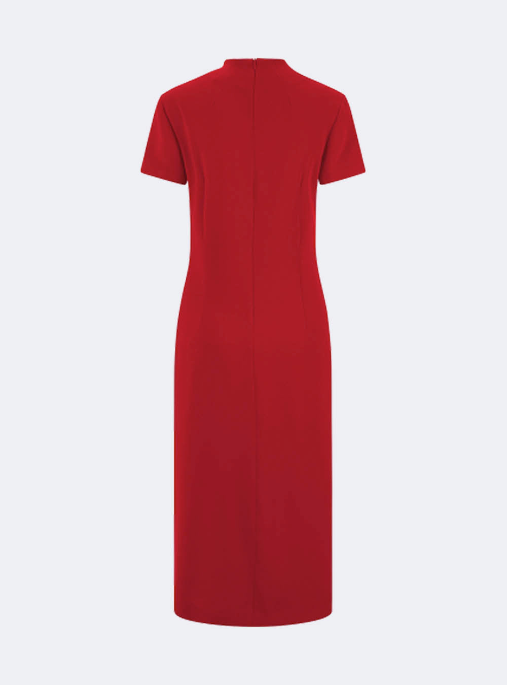 Riani Dress with Short Sleeves